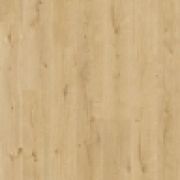L1251-04297 Skara pro Дуб Исландия