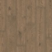 L1249-05243 Uppsala pro Дуб вековой коричневый