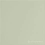 Керамогранит 60*60 GT-079M зеленый чай