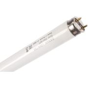 Лампа люм.L 36W/765 G13 дневного цв.OSRAM